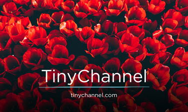 TinyChannel.com - Creative brandable domain for sale