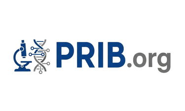 PRIB.org - Creative brandable domain for sale