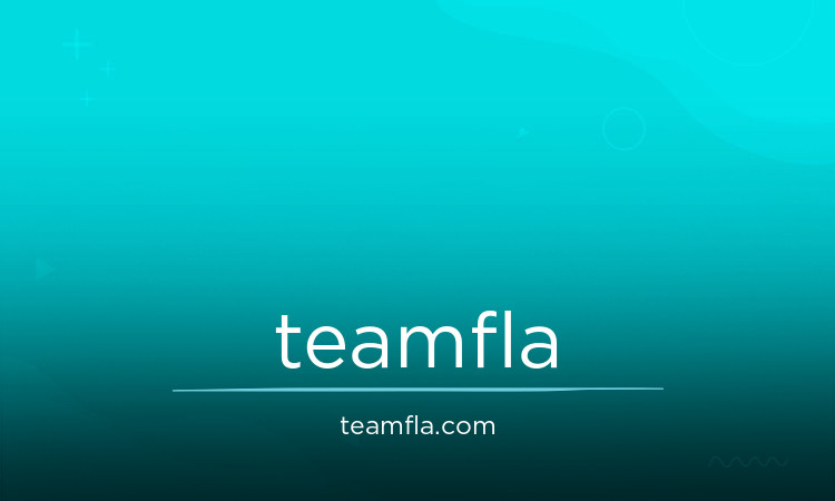 TeamFla logo