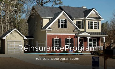 ReinsuranceProgram.com - Creative brandable domain for sale