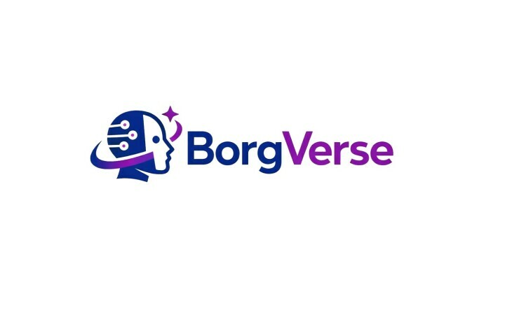 BorgVerse logo
