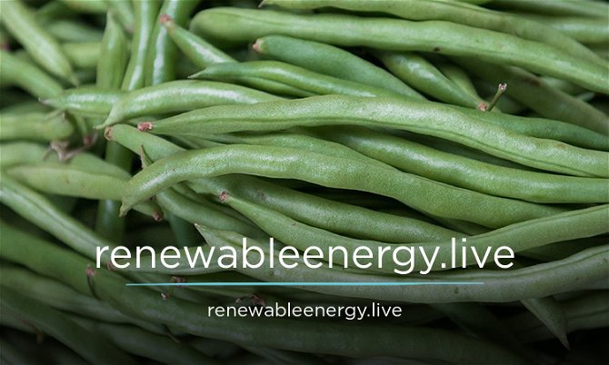 Renewableenergy.Live