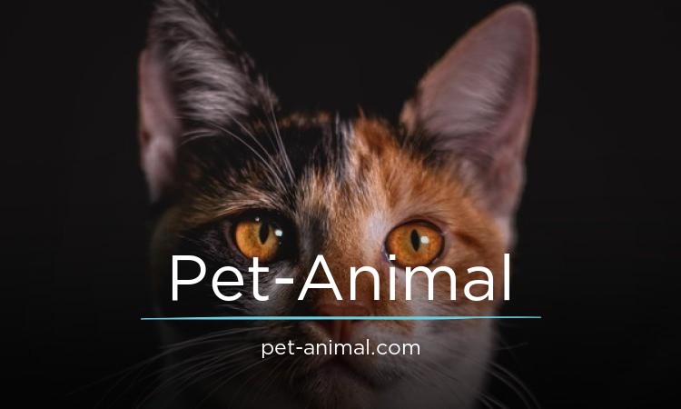 Pet-Animal logo