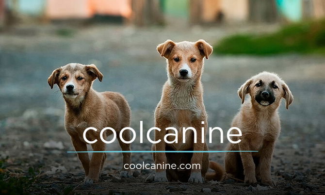 coolcanine.com