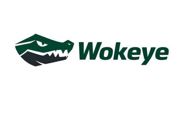 Wokeye logo
