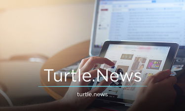 Turtle.news - Creative brandable domain for sale