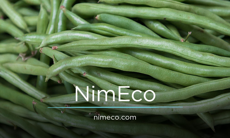 NimEco logo