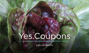 Yes logo