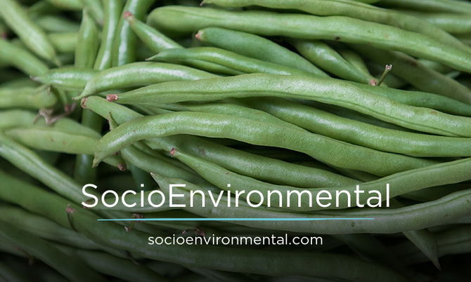 SocioEnvironmental.com