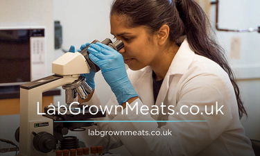 LabGrownMeats.co.uk - Creative brandable domain for sale