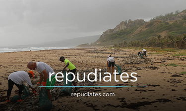 Repudiates.com - Creative brandable domain for sale