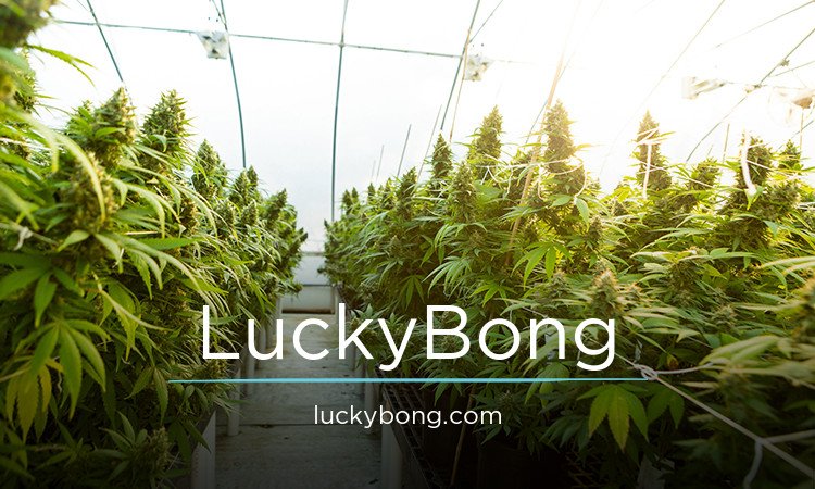 LuckyBong.com - Creative brandable domain for sale