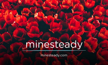 minesteady.com