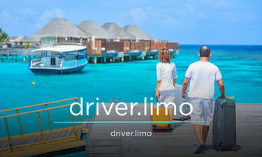 Driver.limo - Creative brandable domain for sale