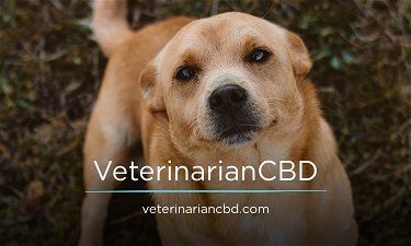 VeterinarianCBD.com - Creative brandable domain for sale