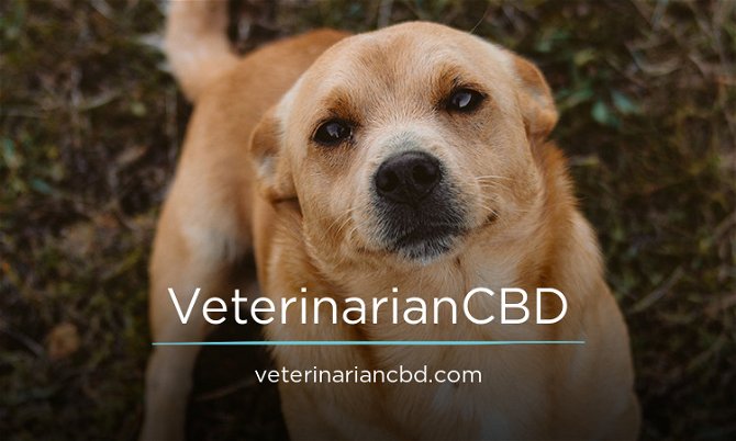 VeterinarianCBD.com