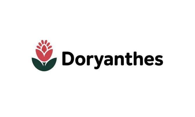Doryanthes.com
