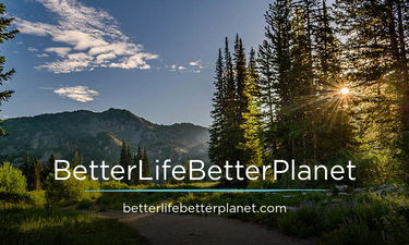 BetterLifeBetterPlanet.com - Creative brandable domain for sale