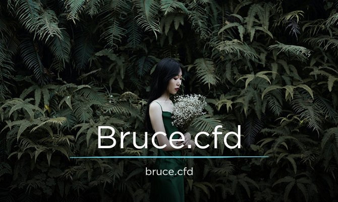 Bruce.cfd