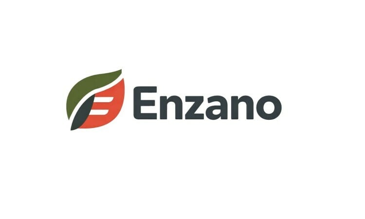 Enzano logo