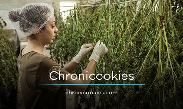 Chronicookies.com - Creative brandable domain for sale