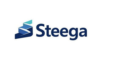 Steega.com - Creative brandable domain for sale