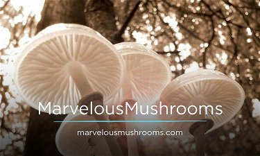 MarvelousMushrooms.com