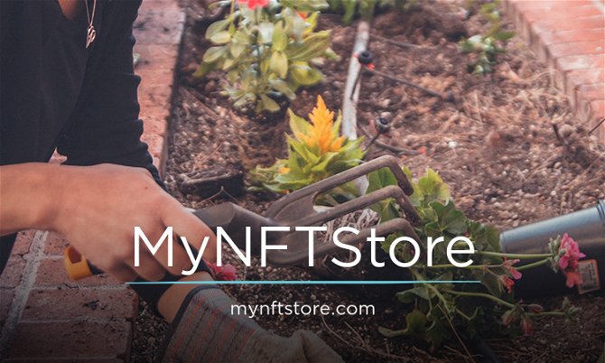 MyNFTStore.com