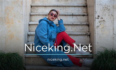 NiceKing.Net - Creative brandable domain for sale