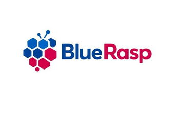 BlueRasp.com is for sale