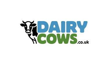 DairyCows.co.uk - Creative brandable domain for sale