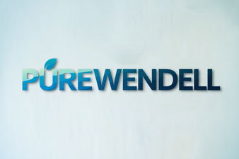 PureWendell.com - Creative brandable domain for sale