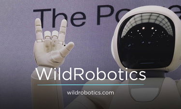 WildRobotics.com - Catchy premium domain names
