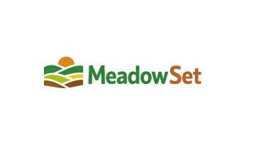 MeadowSet logo