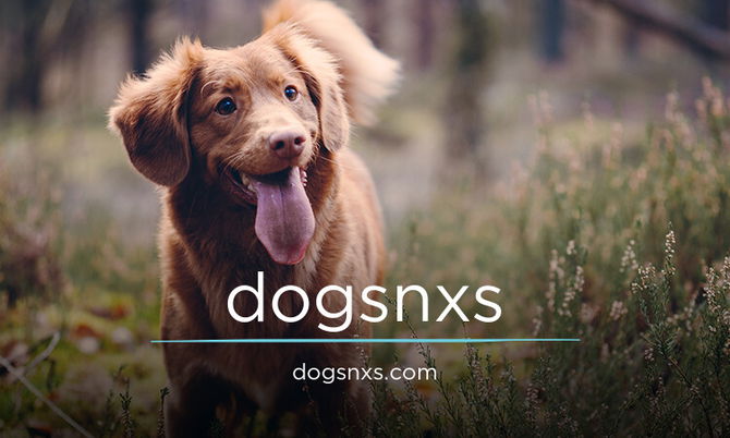 Dogsnxs.com
