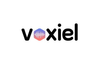 voxiel.com - Creative brandable domain for sale
