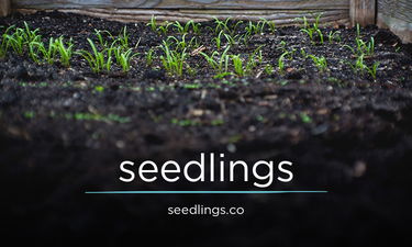 seedlings.co - Creative brandable domain for sale