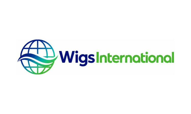 WigsInternational logo