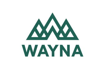 Wayna.com - Creative brandable domain for sale