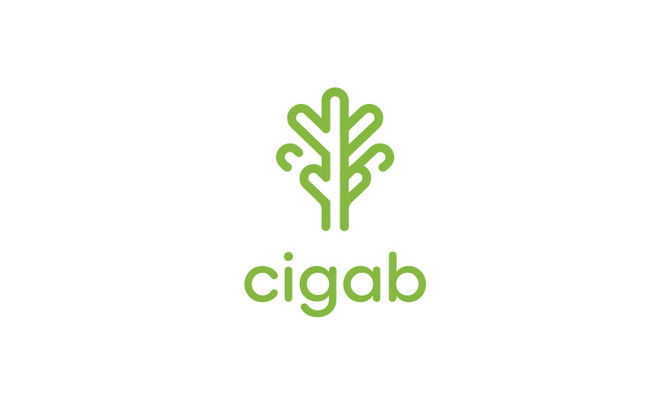 Cigab.com