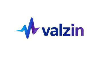 valzin logo