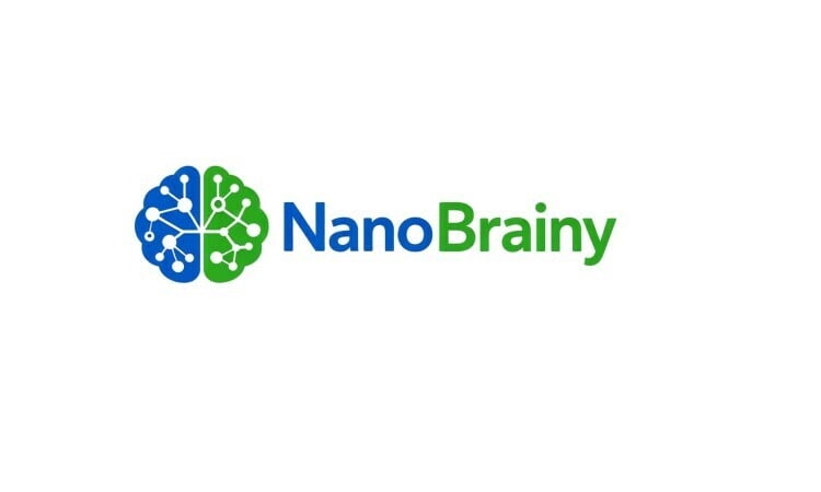 NanoBrainy logo