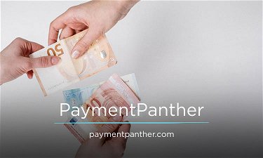PaymentPanther.com - Creative brandable domain for sale