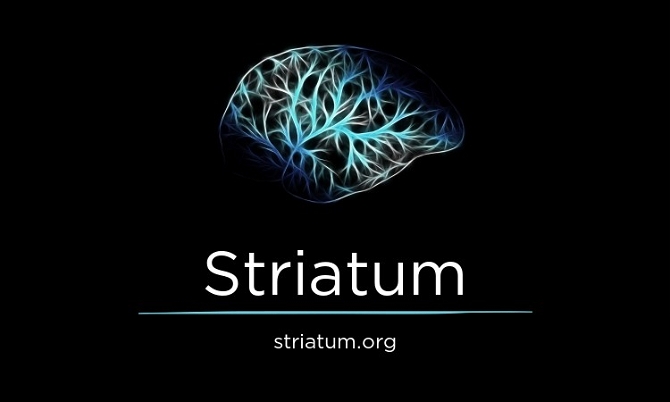Striatum.org
