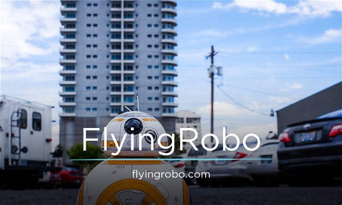FlyingRobo.com