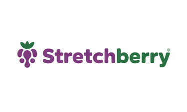 StretchBerry.com - Creative brandable domain for sale