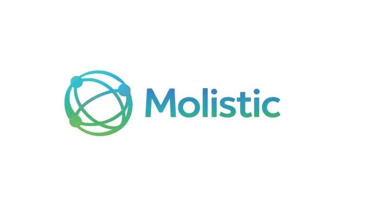 Molistic logo