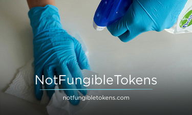 NotFungibleTokens.com - Creative brandable domain for sale