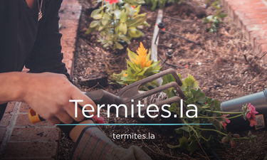 Termites.la - Creative brandable domain for sale