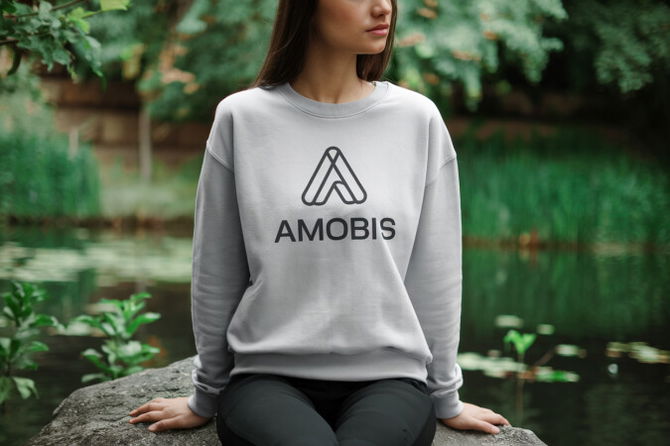 Amobis.com